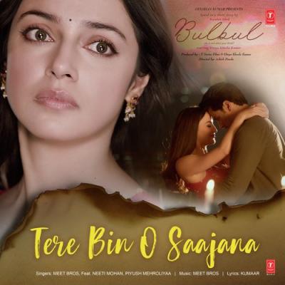 Tere Bin O Saajana Piyush Mehroliyaa,Neeti Mohan