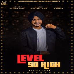 Level So High Honey Sidhu