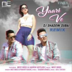 Yaari Ve Remix Prakriti Kakar,DJ Shadow Dubai