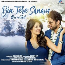 Bin Tere Sanam - Recreated Bhoomi Trivedi,Bilal