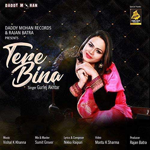 Tere Bina Gurlez Akhtar