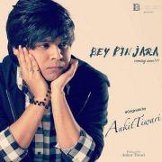 Bey Pinjara Ankit Tiwari