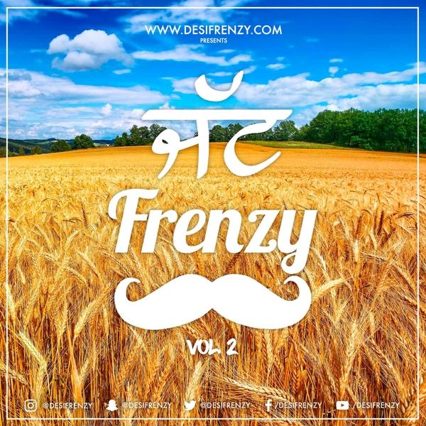 Jatt Frenzy Vol 2 DJ Frenzy