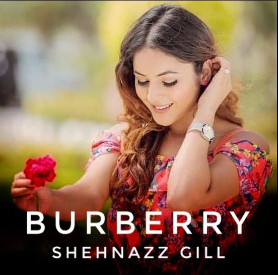 Burberry Shehnaaz Gill