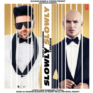 Slowly Slowly Guru Randhawa, PitBull