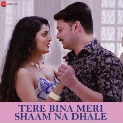 Tere Bina Meri Shaam Na Dhale Vikram Kumar