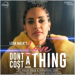 Love Dont Cost A Thing Lizaa Malik