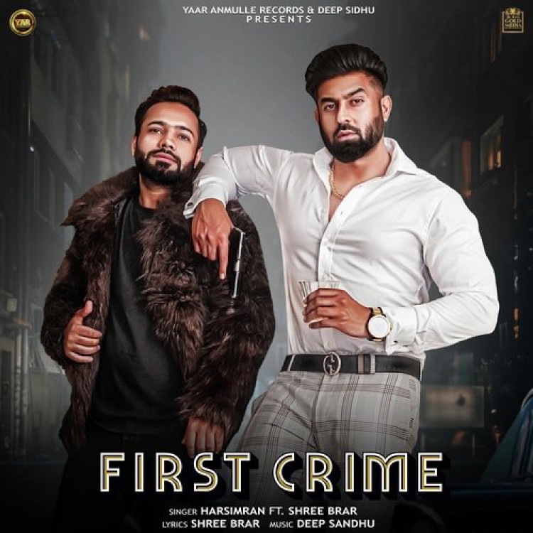 First Crime Harsimran,Shree Brar