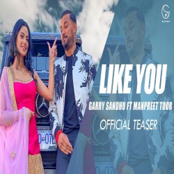 Like You Garry Sandhu