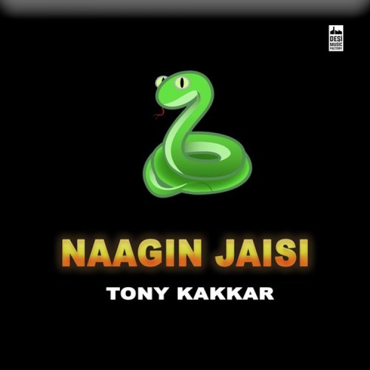 Naagin Jaisi (Sangeetkaar) Tony Kakkar