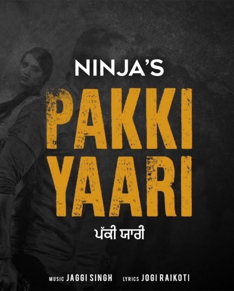 Pakki Yaari Ninja