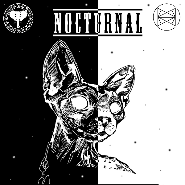 Nocturnal Remix Various